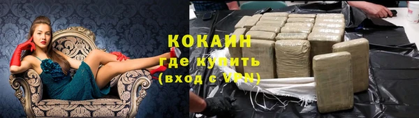 гашик Каменногорск