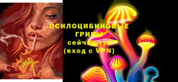 первитин Каменка
