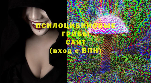 гашик Каменногорск