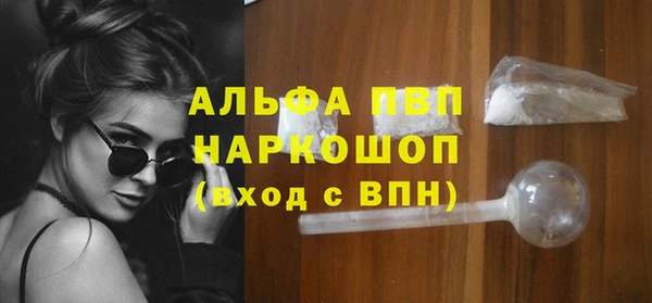 гашик Каменногорск