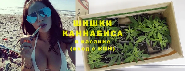 гашик Каменногорск