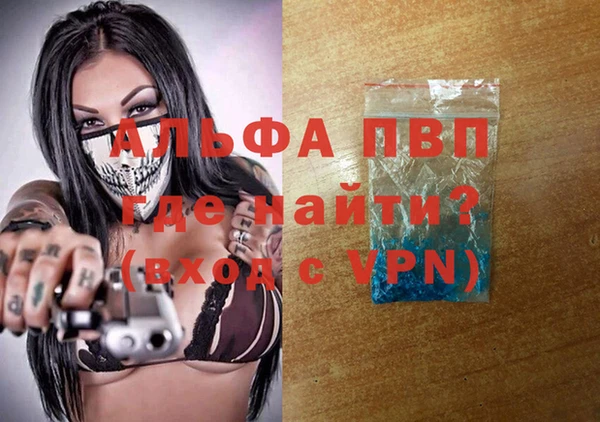 гашик Каменногорск