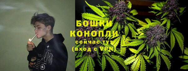 гашик Каменногорск