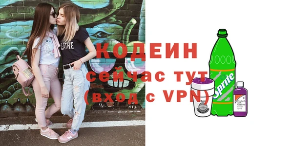 первитин Каменка