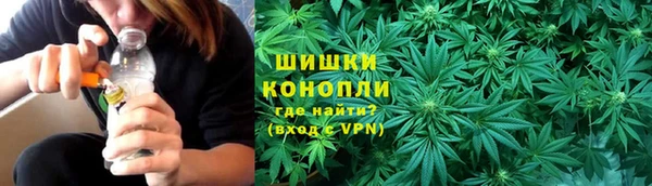 гашик Каменногорск