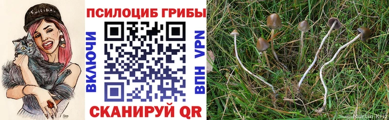 Галлюциногенные грибы мицелий  Купить  Зеленогорск 